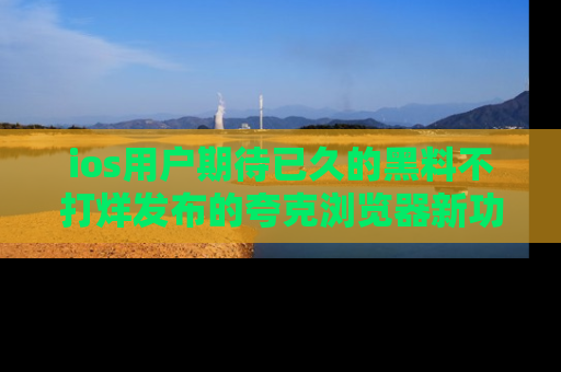 ios用户期待已久的黑料不打烊发布的夸克浏览器新功能上线啦！