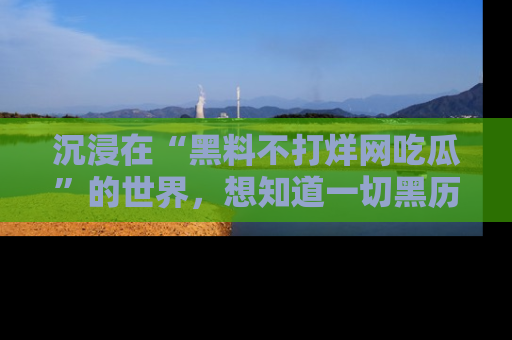 沉浸在“黑料不打烊网吃瓜”的世界，想知道一切黑历史与内幕信息的网站！