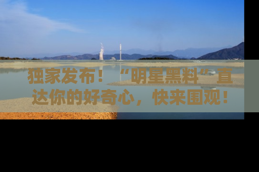 独家发布！“明星黑料”直达你的好奇心，快来围观！
