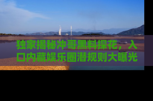 独家揭秘冲哥黑料探花，入口内藏娱乐圈潜规则大曝光