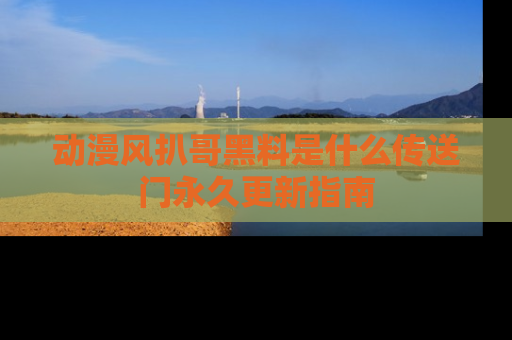 动漫风扒哥黑料是什么传送门永久更新指南