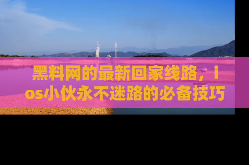 黑料网的最新回家线路，ios小伙永不迷路的必备技巧！