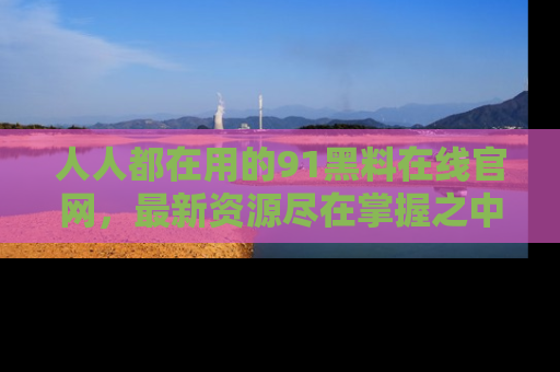 人人都在用的91黑料在线官网，最新资源尽在掌握之中