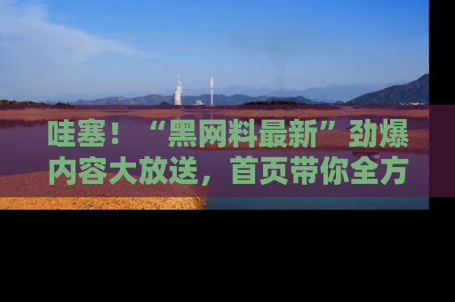 哇塞!“黑网料最新”劲爆内容大放送,首页带你全方位了解哦,小可爱们