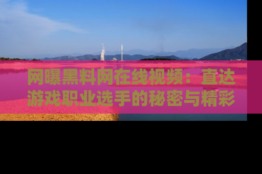 网曝黑料网在线视频:直达游戏职业选手的秘密与精彩动漫片段!