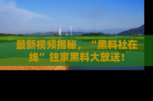 最新视频揭秘,“黑料社在线”独家黑料大放送!